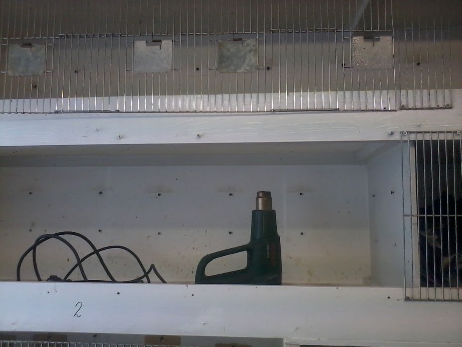 Niet te vergeten mijn verfbrander. Elke week met schoonmaken even met de verfbrander op de zachtste stand het hok door tegen de bloedluis. Ik ben ervan overtuigd dat dit beter werkt dan alle andere middelen.  