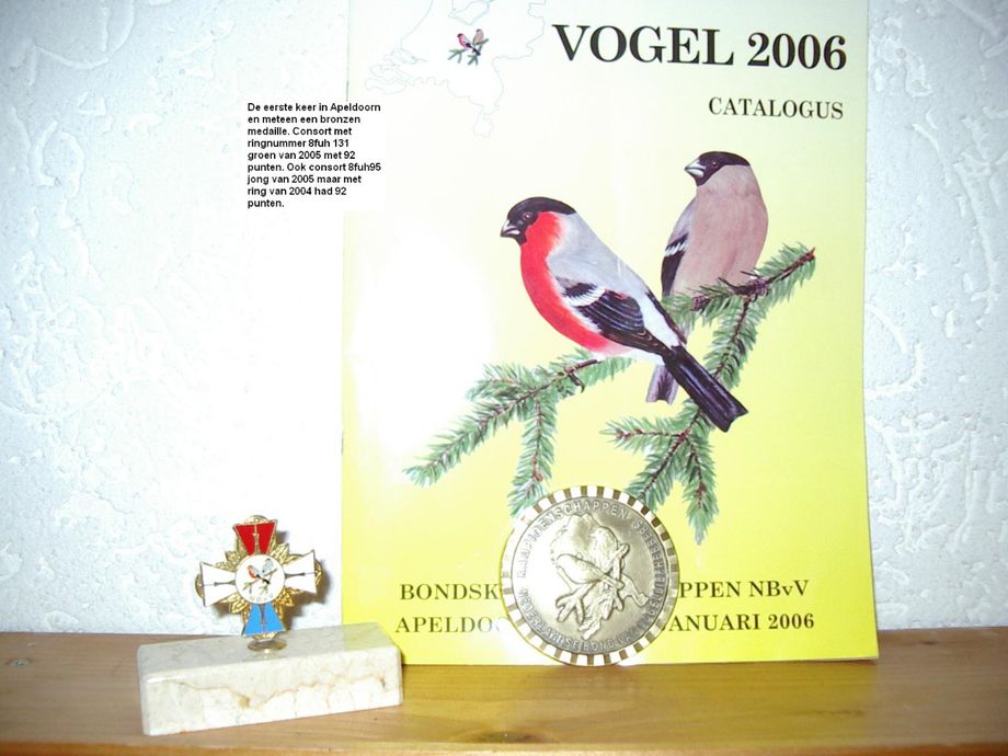 Hier won ik een bronzen plak met ook een klein bruin Glostertje vergelijkbaar met de vogel hieronder. Helaas kan ik van deze vogel geen foto meer vinden.   
