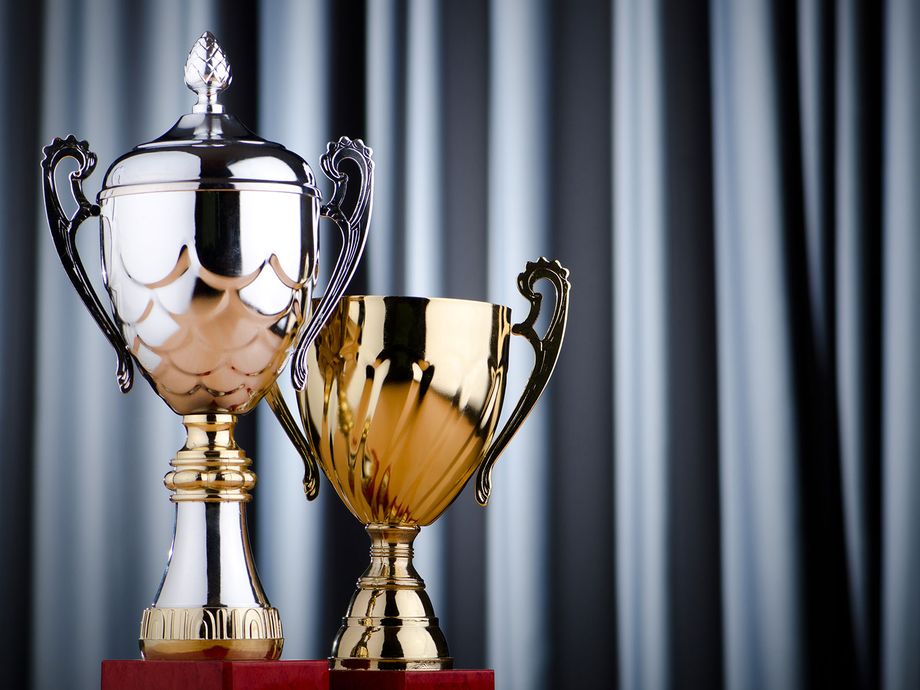 Even voor de goede orde Hans. Dit zijn geen bekers die ik gewonnen heb. Deze bekers staan eigenlijk synoniem voor mijn einddroom nl; Ooit een keer een grote prijs winnen met mijn Glosters. 